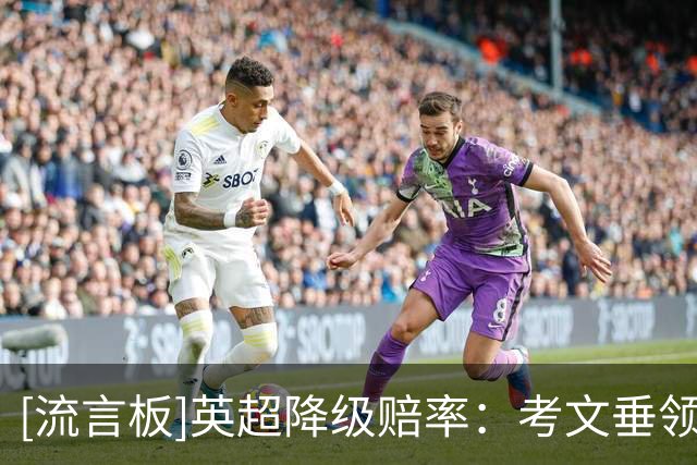 [流言板]英超降级赔率：考文垂领跑，赫尔城、曼城列二三位